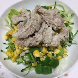 夏野菜で冷しゃぶサラダ